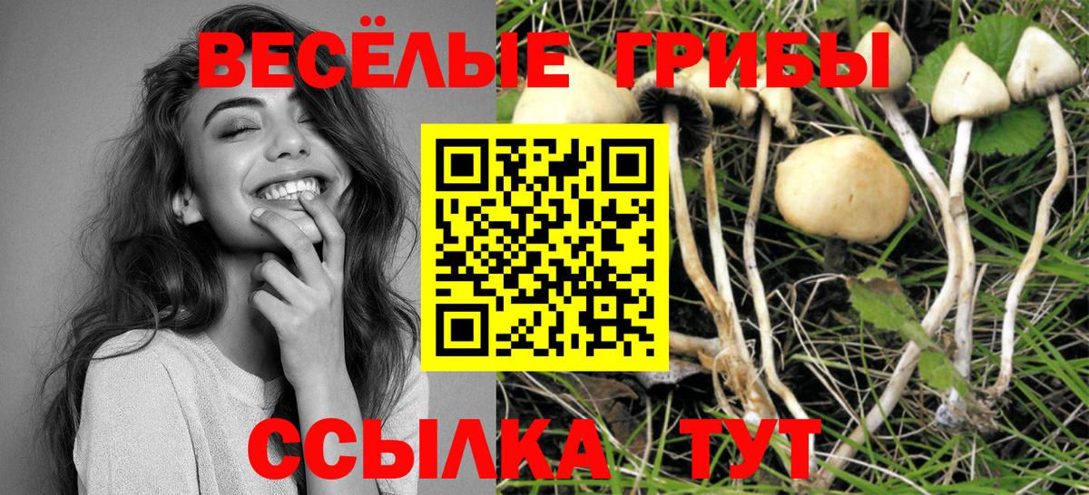 Галлюциногенные грибы MAGIC MUSHROOMS Новокубанск